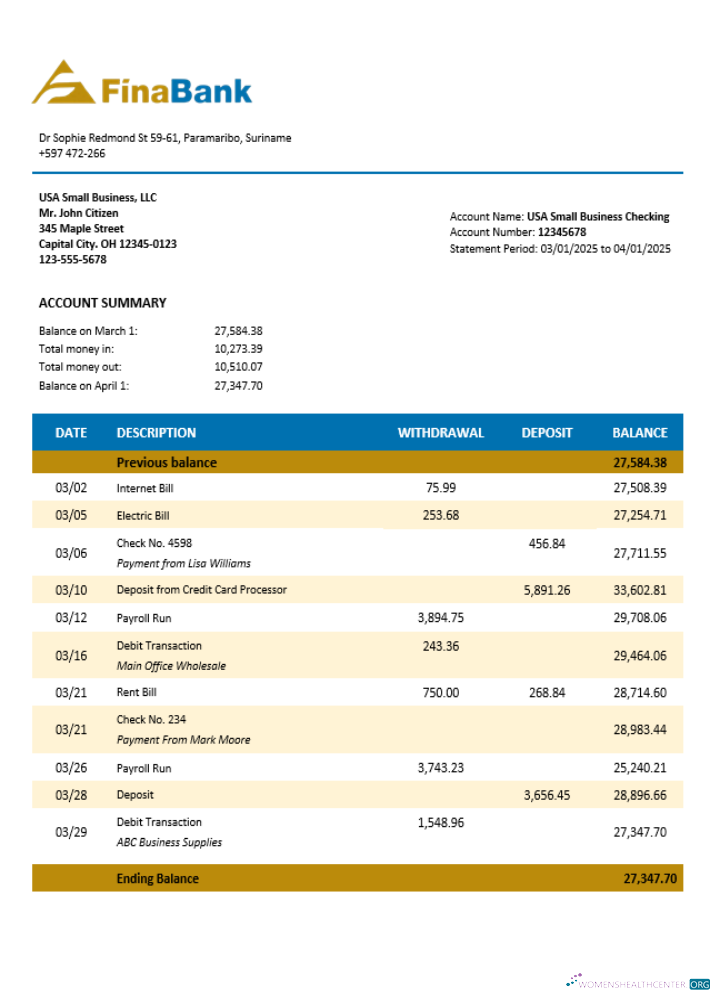 Download Suriname Finabank enterprise statement Word and PDF template Photoshop template